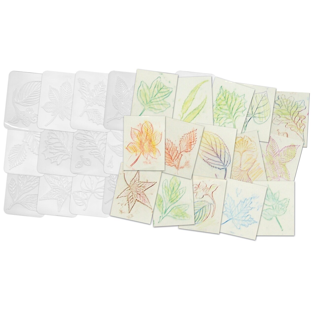 Leaf Rubbing Plates – 16 Pack Textured Nature Templates for Art, Crafts & Classroom Activities